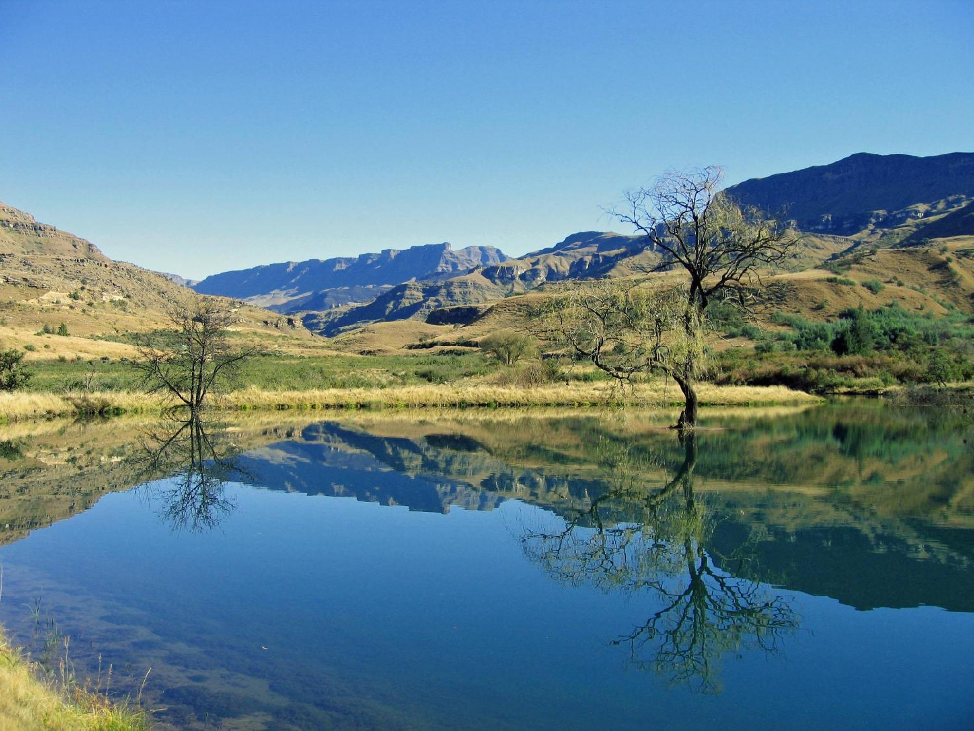 Mkomazana Mountain Cottages Himeville Dış mekan fotoğraf