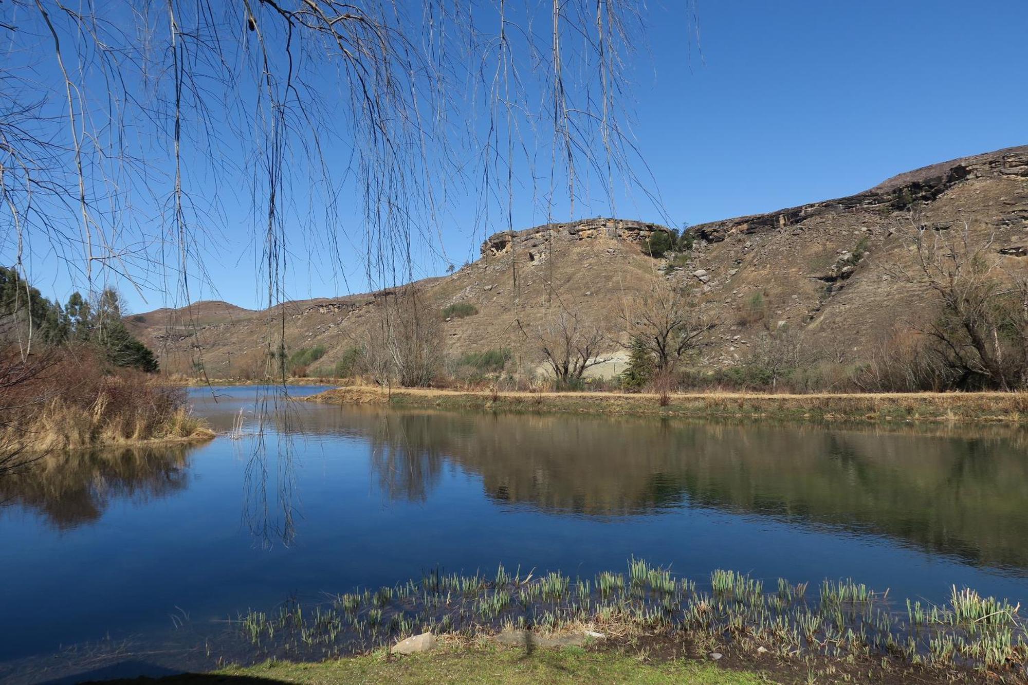 Mkomazana Mountain Cottages Himeville Dış mekan fotoğraf