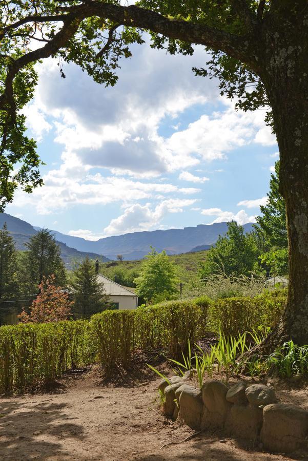 Mkomazana Mountain Cottages Himeville Dış mekan fotoğraf