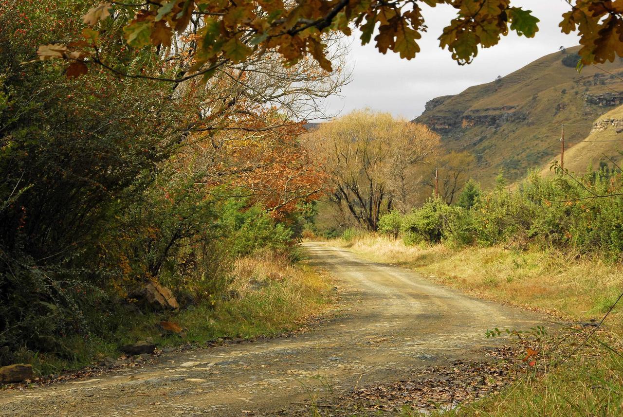 Mkomazana Mountain Cottages Himeville Dış mekan fotoğraf